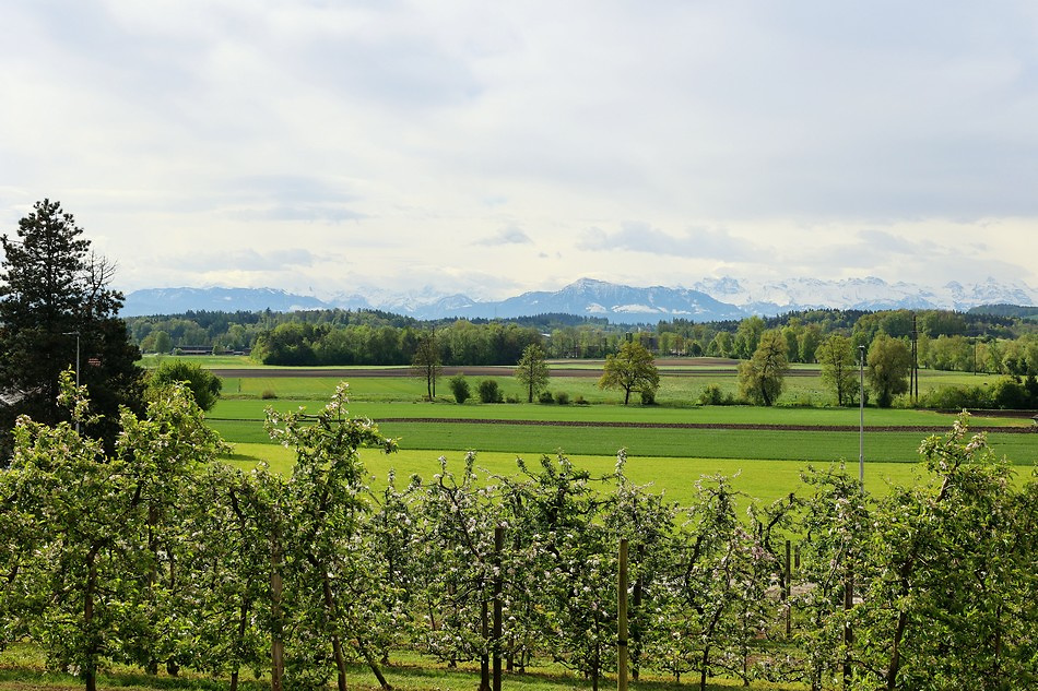  2024 04 28 Patrozinium Bünzen 20bb