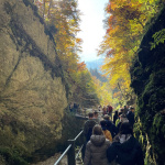  Firmweekend2025Wanderung 4