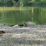  FamilientreffIMG 20230527 WA0006bb