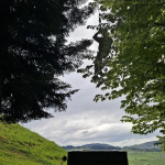  Buenzen20250421 142712bb