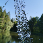  FamilientreffIMG 20230527 WA0004bb