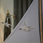  Buenzenbb240414 Erstkommunion Boswil (250)