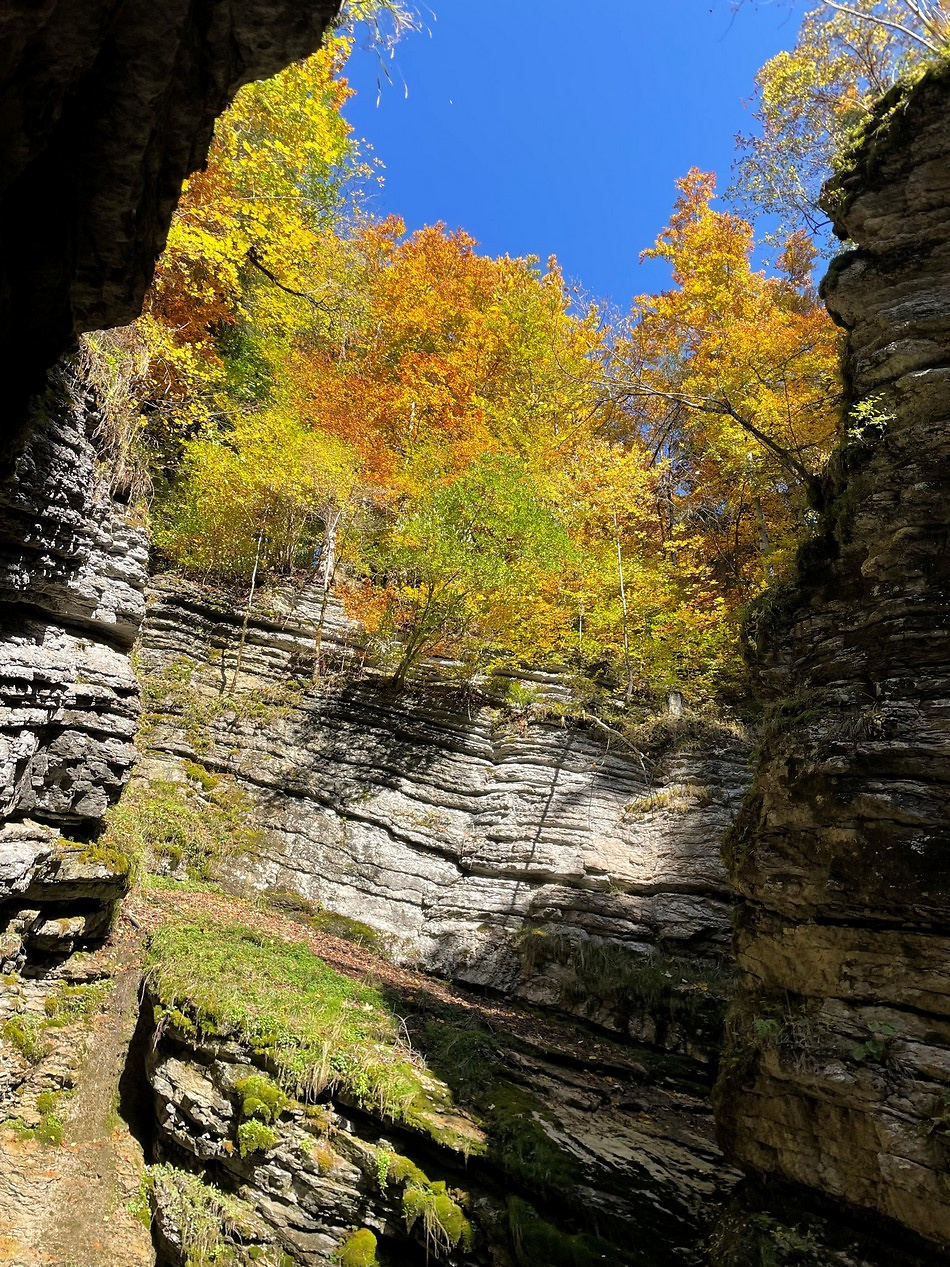  Firmweekend2025Wanderung 5
