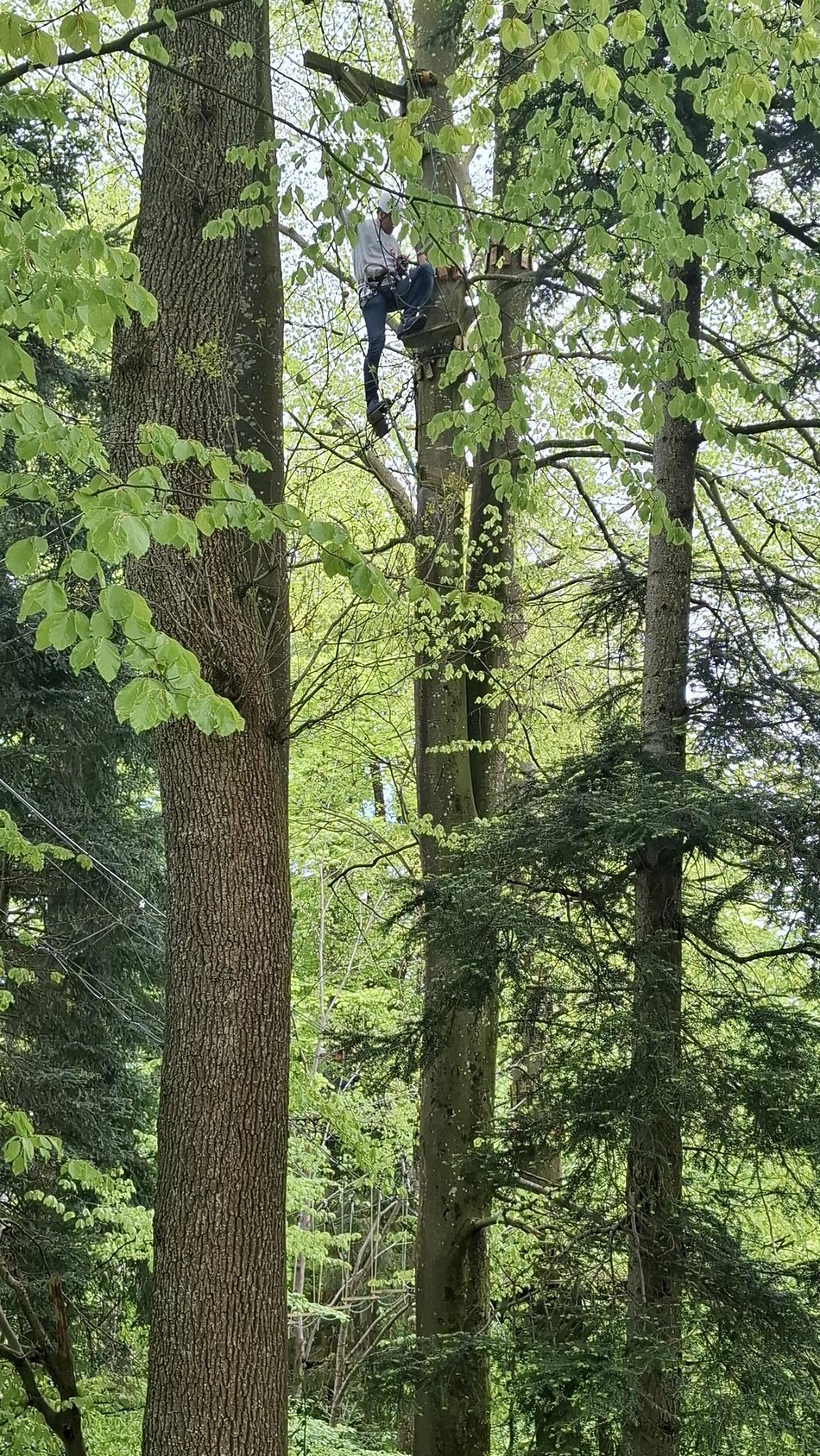  Buenzen20250421 142249bb