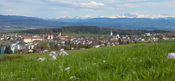 Copyright Pastoralraum-muri.ch (c) Pastoralraum-muri.ch